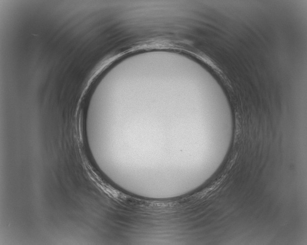 X0000054361078200507290759