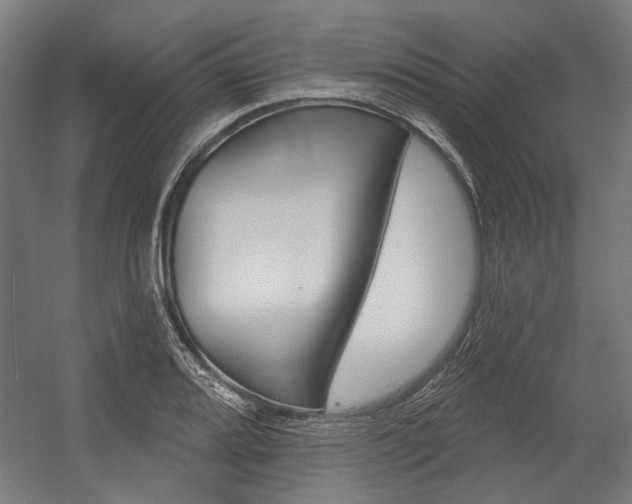 X0000054361080200507290759