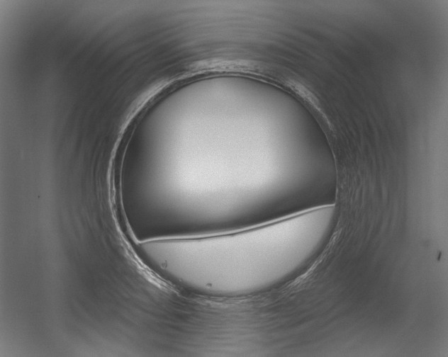 X0000054361082200507290759