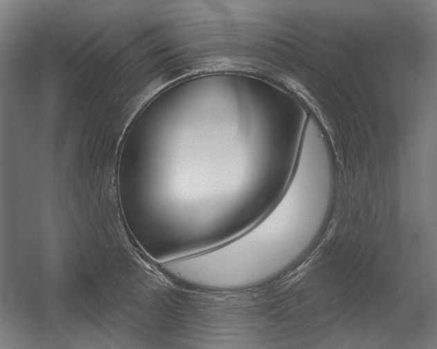 X0000054361089200507290758