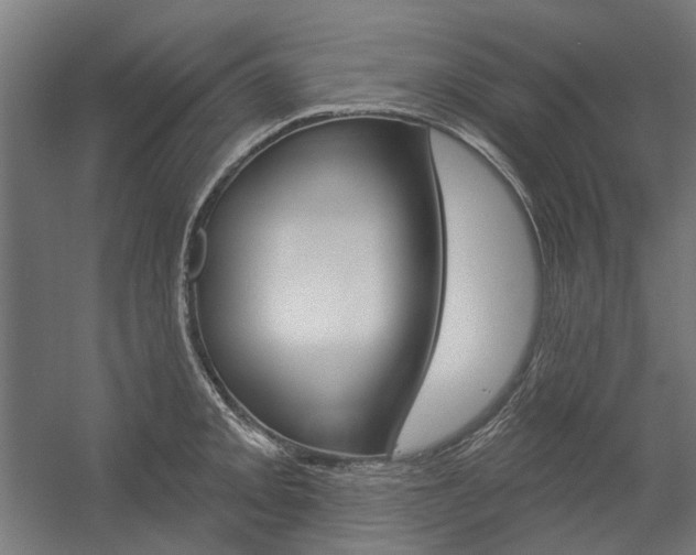 X0000054361093200507290758