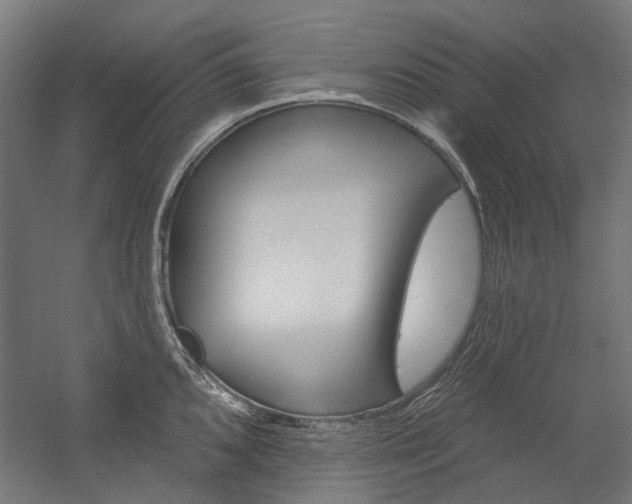 X0000054361096200507290758