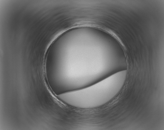 X0000054361101200507290758