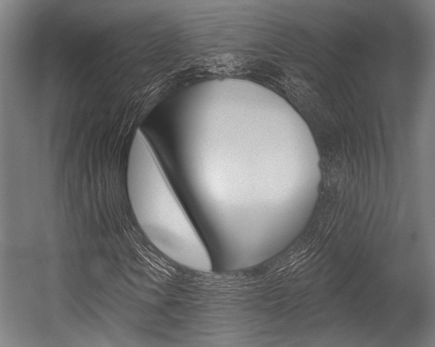 X0000054361106200507290757