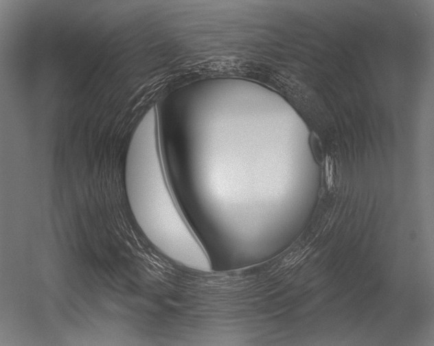 X0000054361107200507290757