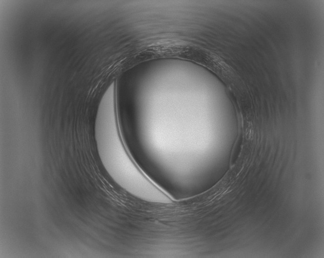 X0000054361108200507290757