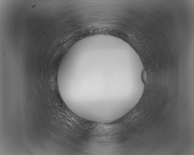 X0000054361109200507290757