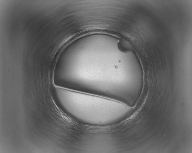 X0000054361113200507290757