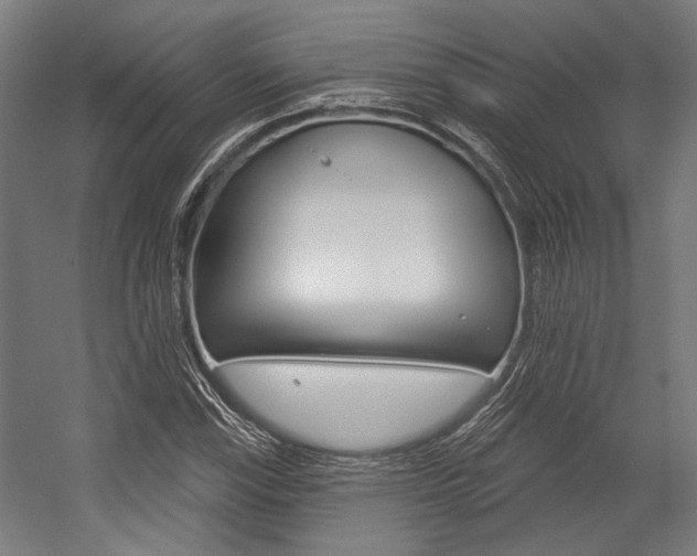 X0000054361115200507290758
