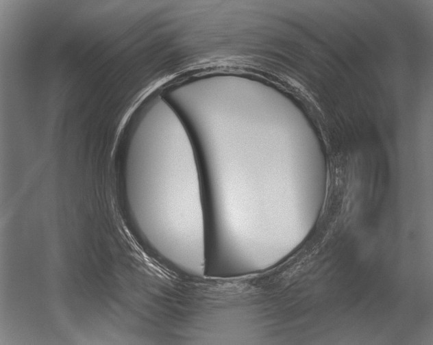 X0000054361117200507290758