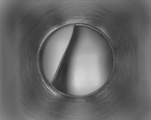 X0000054361119200507290758