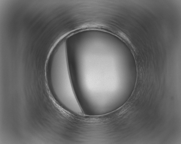 X0000054361124200507290758