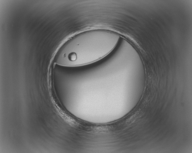 X0000054361126200507290758