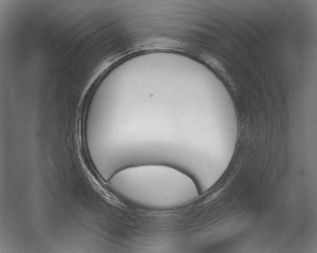 X0000054361130200507290758