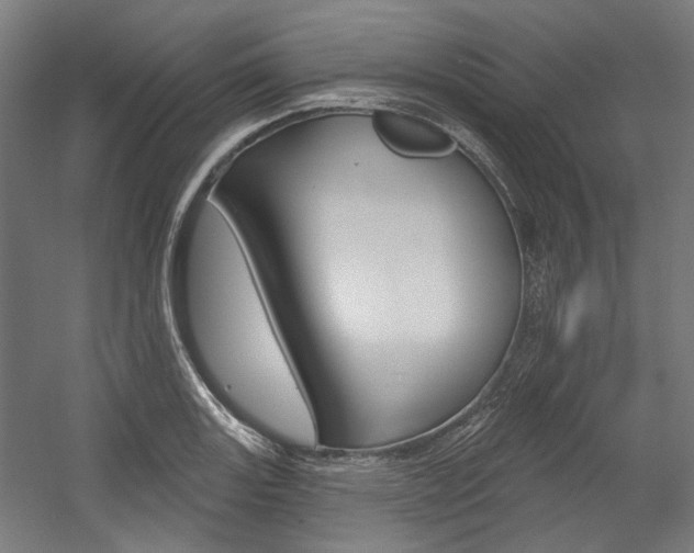 X0000054361131200507290758