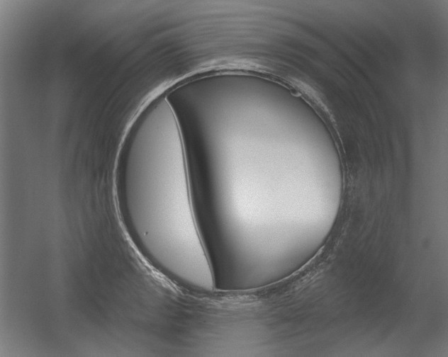 X0000054361133200507290758