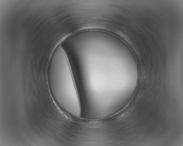 X0000054361137200507290758