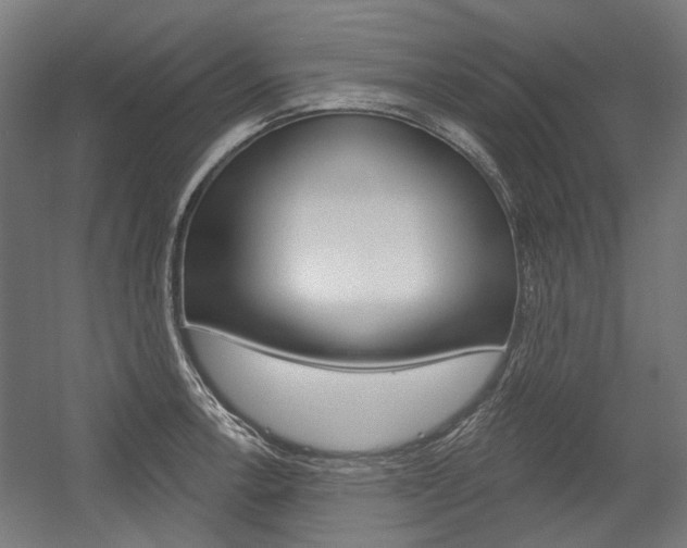 X0000054361138200507290758