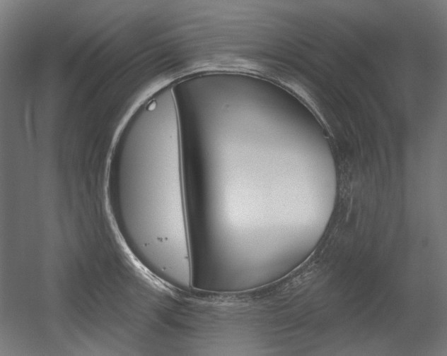 X0000054361139200507290758