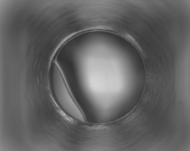 X0000054361140200507290758