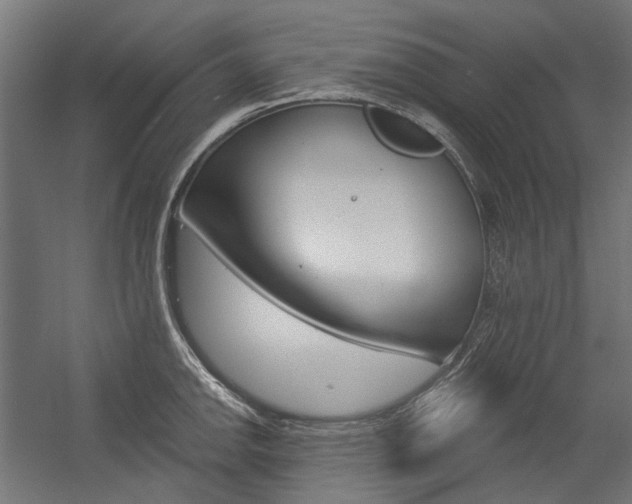 X0000054361142200507290758