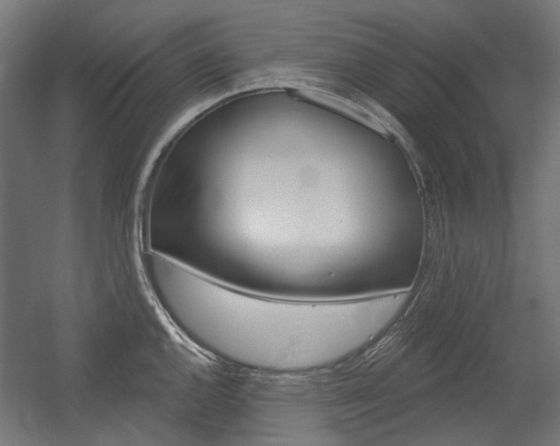 X0000054361144200507290758