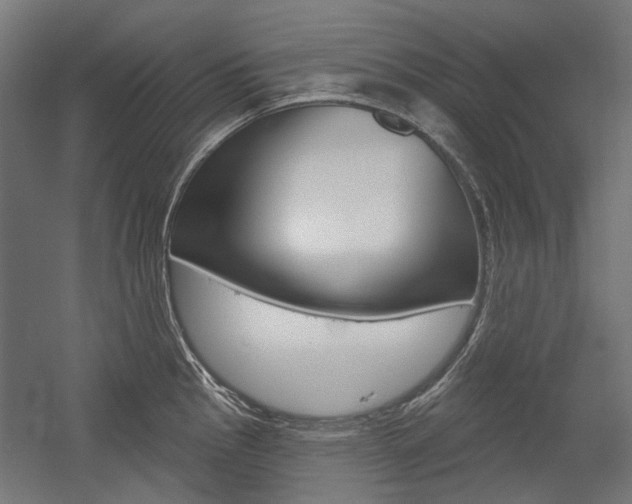 X0000054361145200507290758