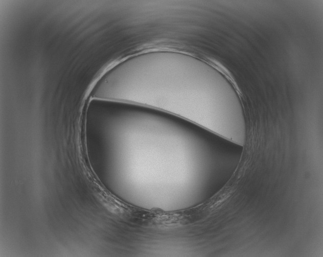 X0000054361146200507290758