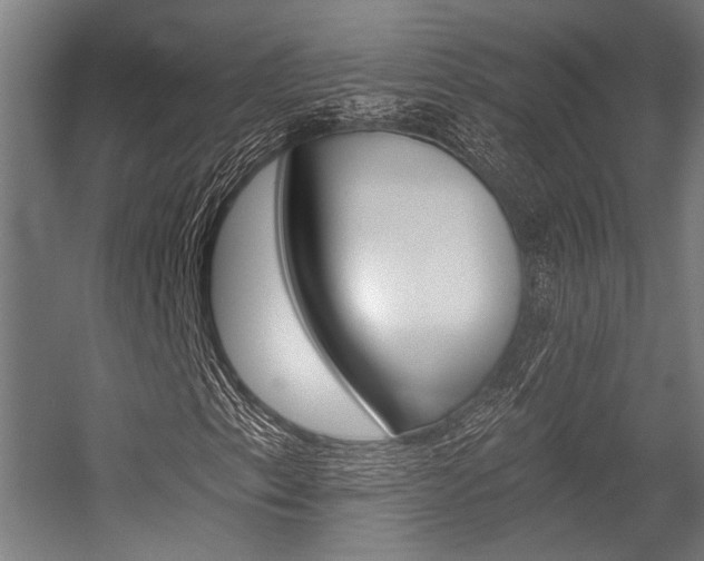 X0000054361153200507290757