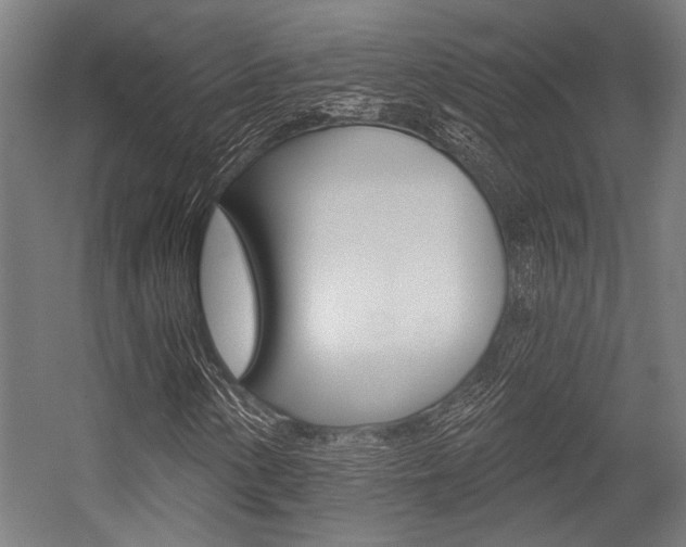 X0000054361154200507290757