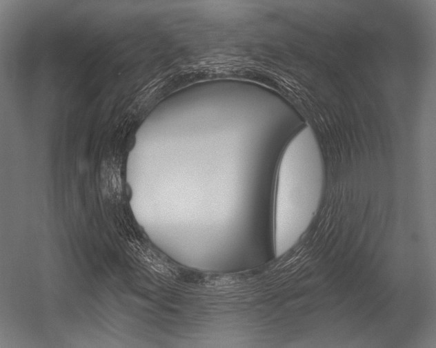 X0000054361155200507290757