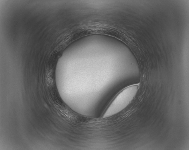 X0000054361156200507290757