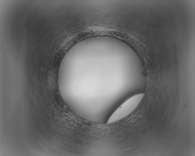 X0000054361157200507290757
