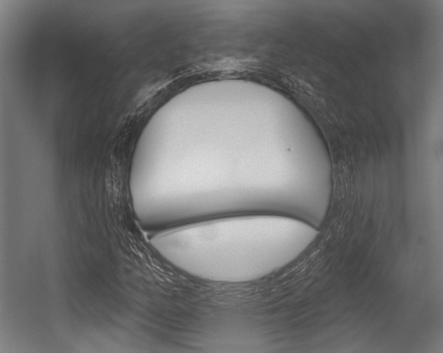 X0000054361158200507290757