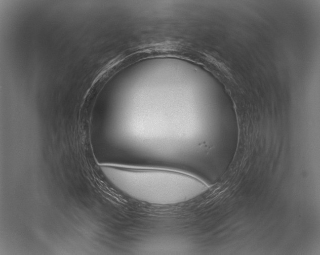 X0000054361160200507290757