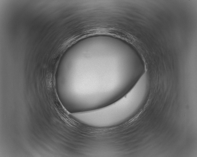 X0000054361161200507290757