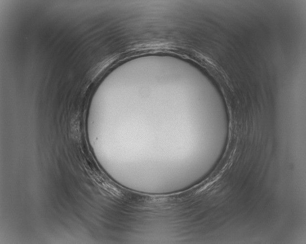 X0000054361162200507290757