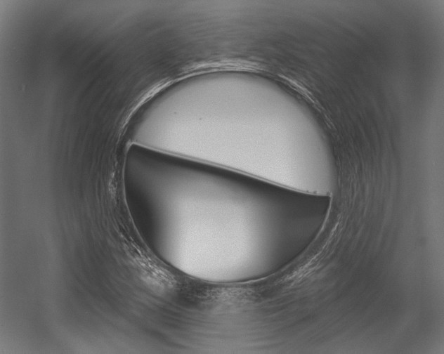X0000054361163200507290757
