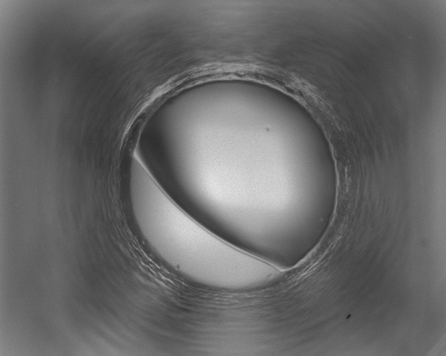 X0000054361165200507290757