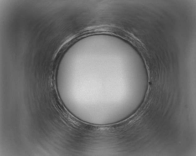 X0000054361166200507290757