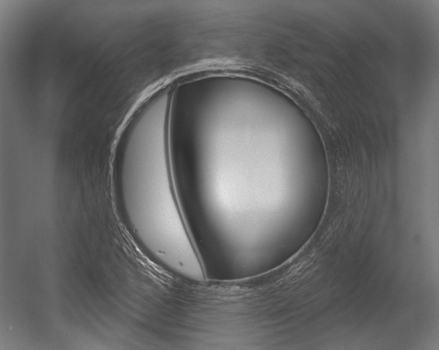 X0000054361168200507290757