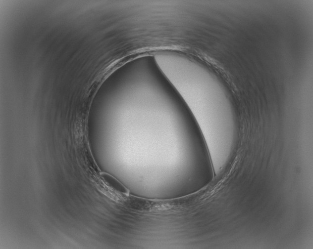 X0000054361169200507290757