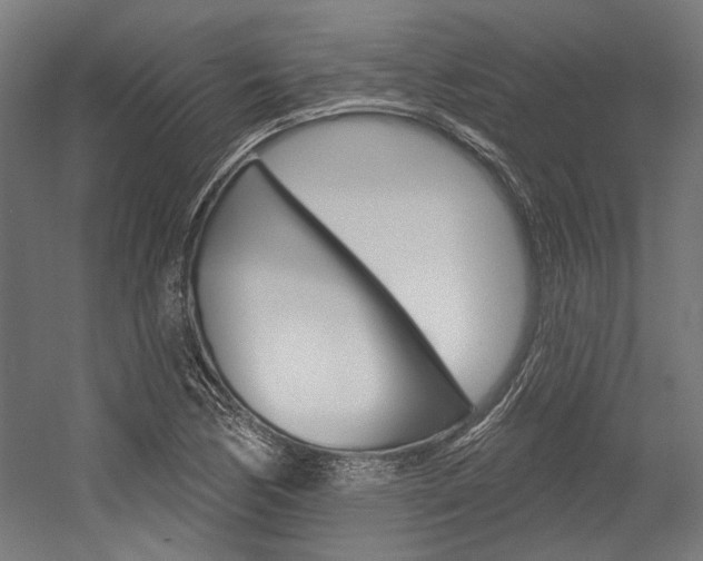 X0000054361170200507290757