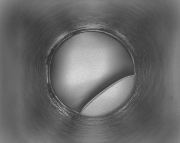 X0000054361171200507290757
