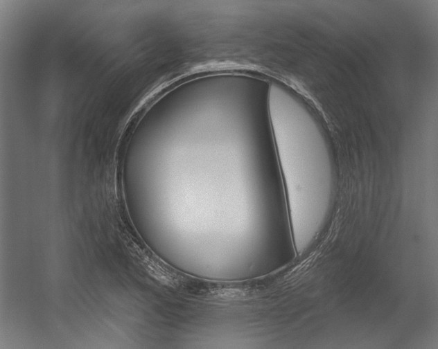 X0000054361173200507290757