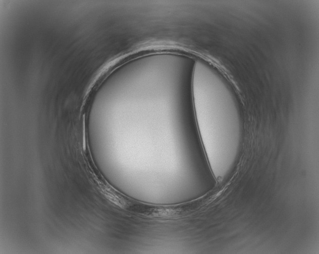 X0000054361175200507290757