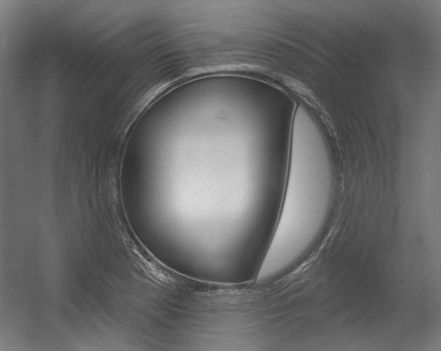 X0000054361177200507290757