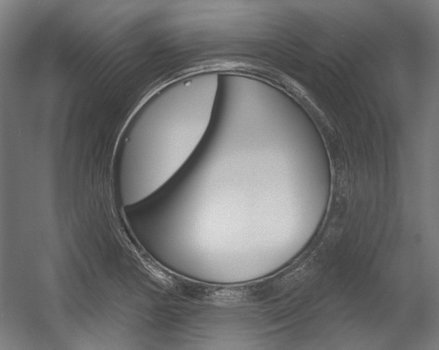 X0000054361178200507290757