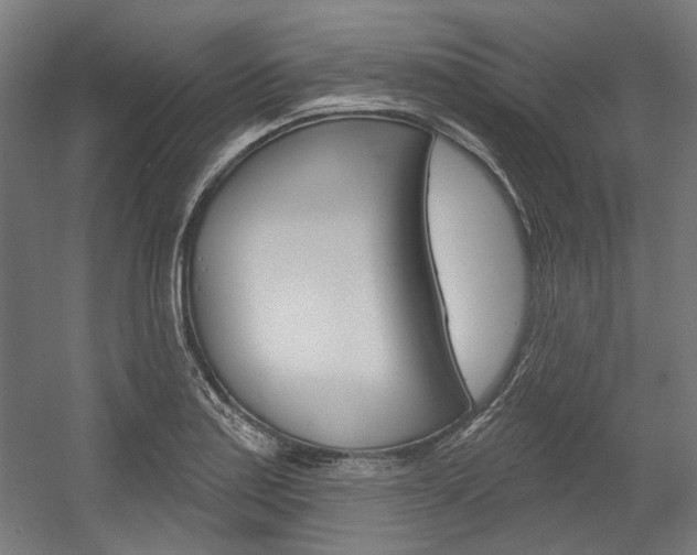X0000054361179200507290757