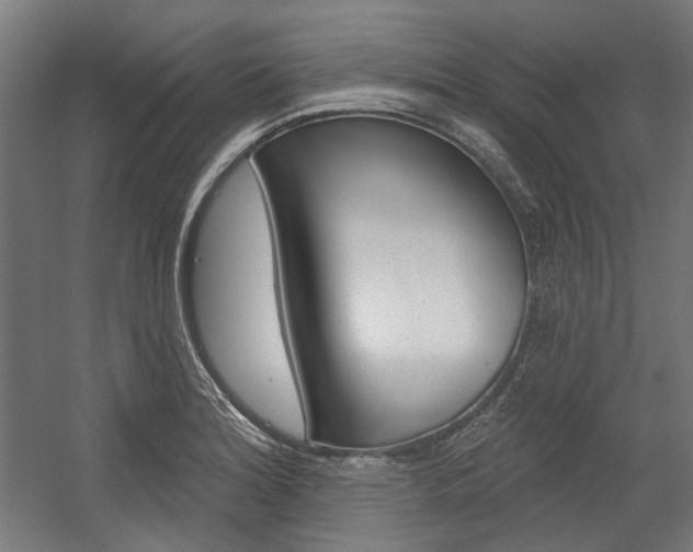 X0000054361180200507290757
